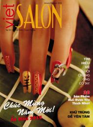 Cover by Robert Nguyen for Viet Salon